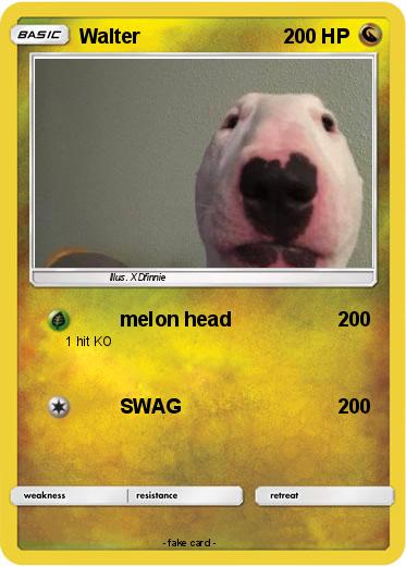 Pokemon Walter