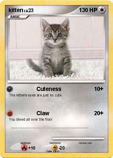 Pokemon kitten