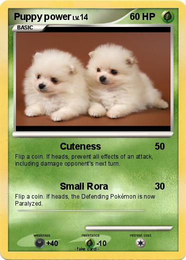 Pokemon Puppy power