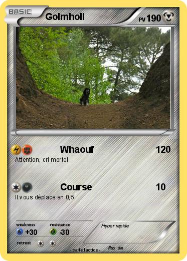 Pokemon Golmholl