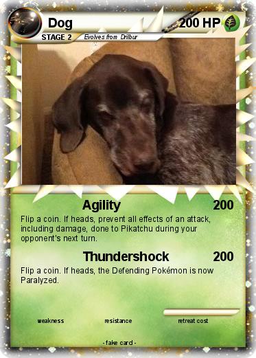 Pokemon Dog