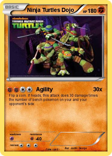 Pokemon Ninja Turtles Dojo