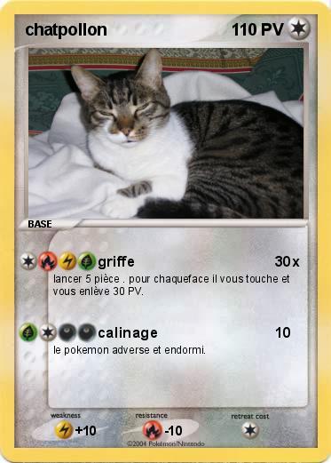 Pokemon chatpollon