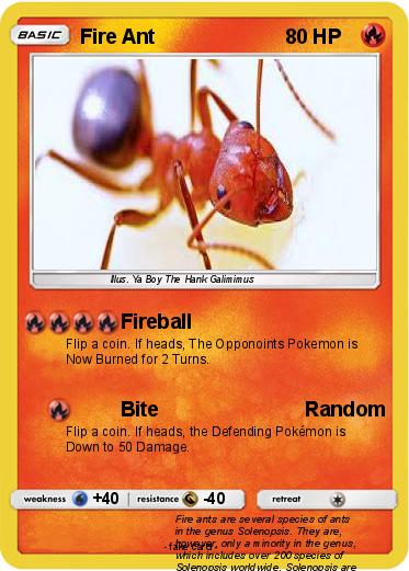 Pokemon Fire Ant