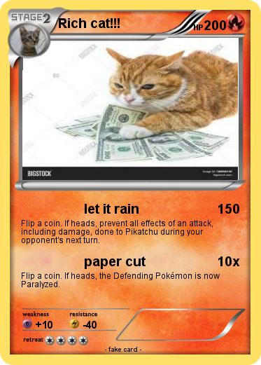 Pokemon Rich cat!!!
