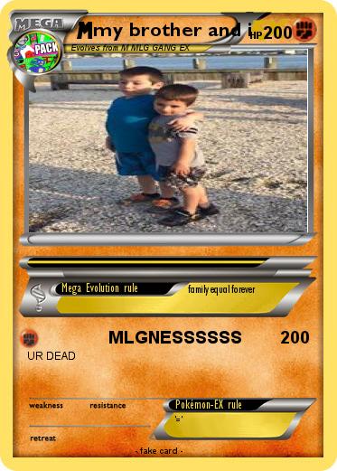 Pokemon my brother and i