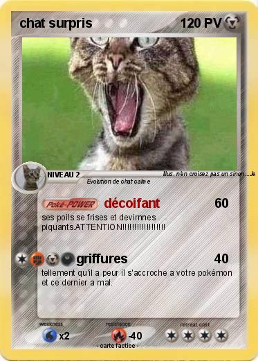 Pokemon chat surpris