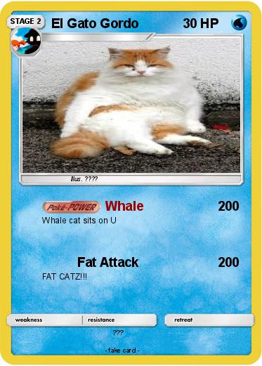 Pokemon El Gato Gordo
