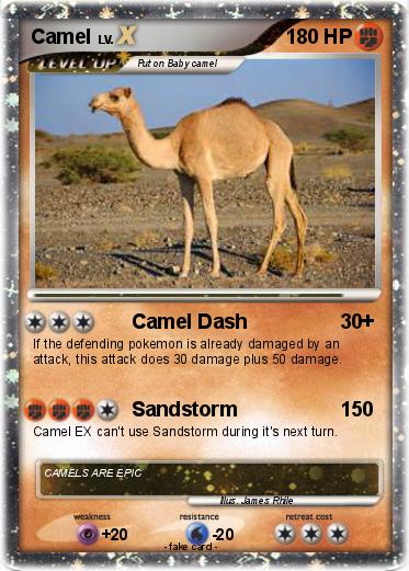 Pokemon Camel