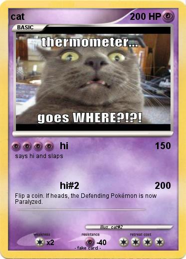 Pokemon cat