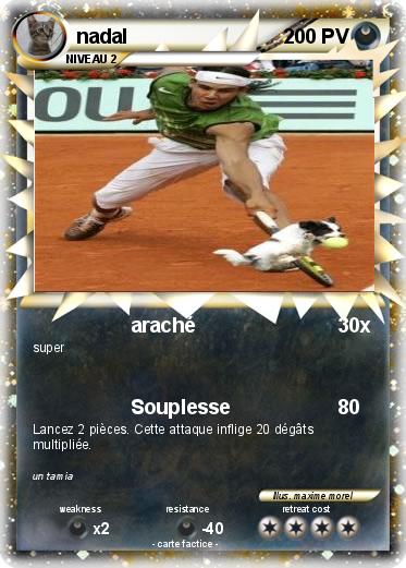 Pokemon nadal