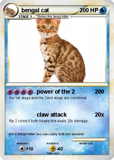Pokemon bengal cat