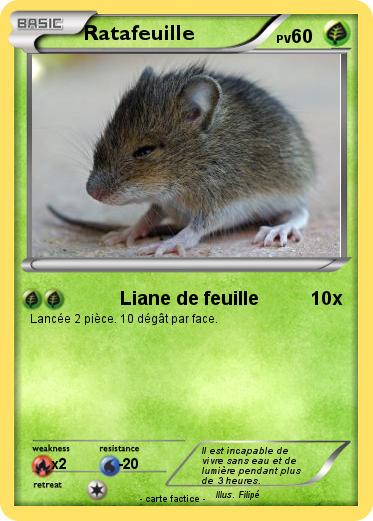 Pokemon Ratafeuille