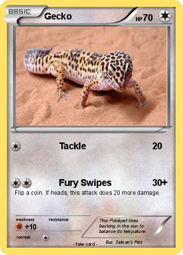 Pokemon Gecko