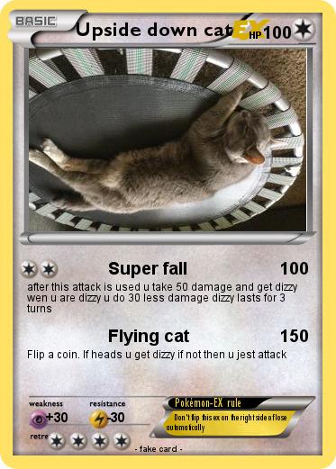 Pokemon Upside down cat