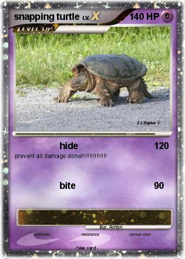 Pokemon snapping turtle