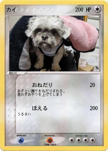 Pokemon カイ