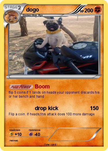 Pokemon dogo