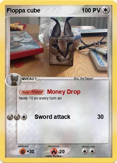 Pokemon Floppa cube