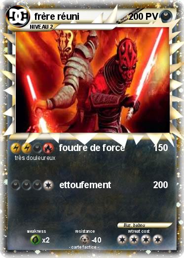 Pokemon frère réuni