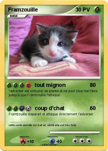 Pokemon Framzouille