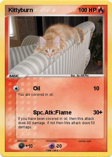Pokemon Kittyburn