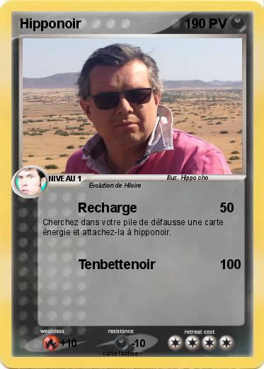 Pokemon Hipponoir