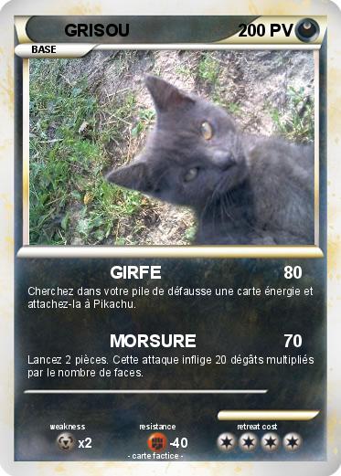 Pokemon GRISOU