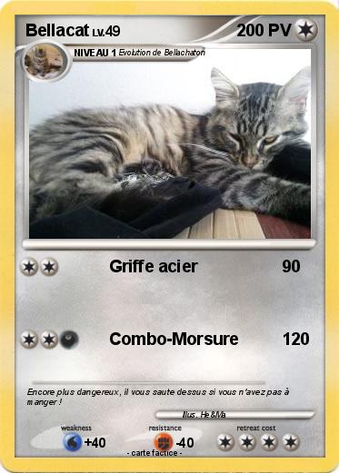 Pokemon Bellacat