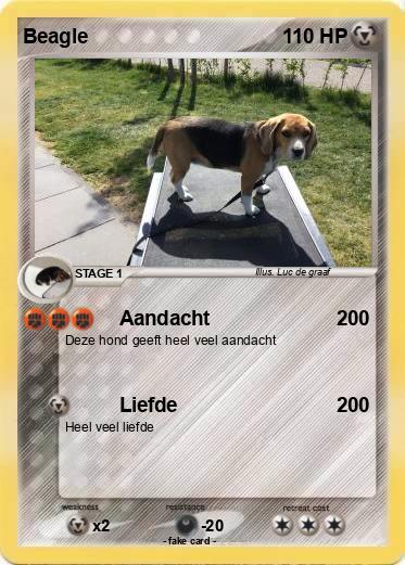 Pokemon Beagle