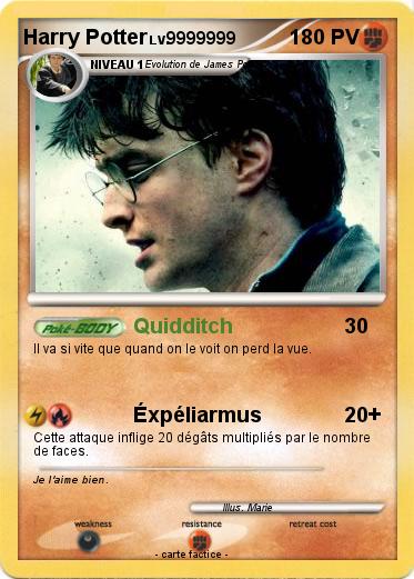 Pokemon Harry Potter
