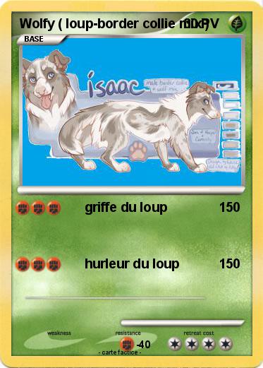 Pokemon Wolfy ( loup-border collie mix )