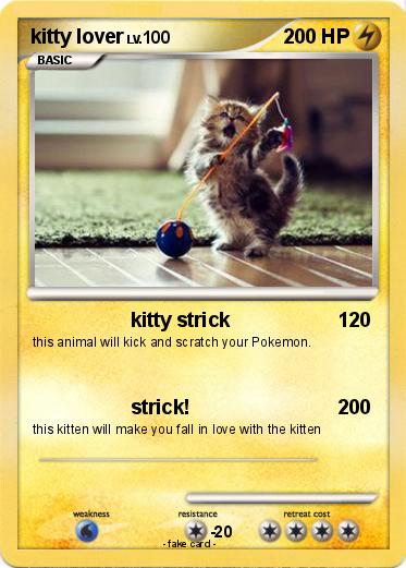 Pokemon kitty lover