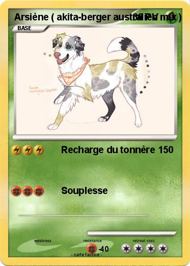 Pokemon Arsiène ( akita-berger australien mix )
