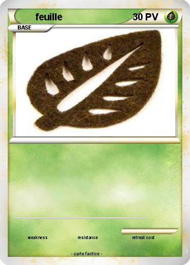 Pokemon feuille