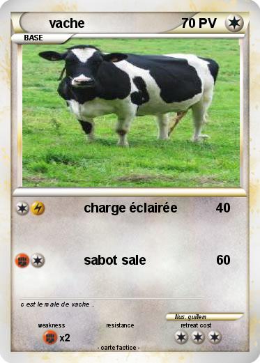 Pokemon vache