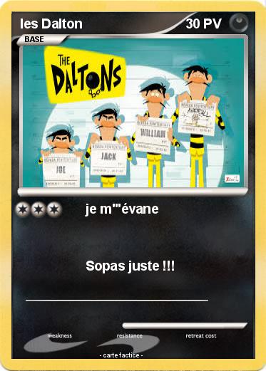 Pokemon les Dalton