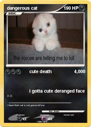 Pokemon dangerous cat