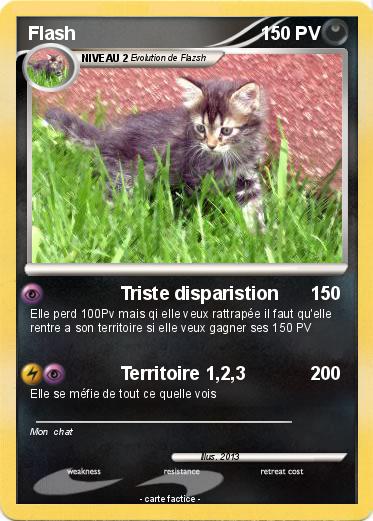 Pokemon Flash