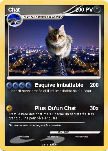 Pokemon Chat