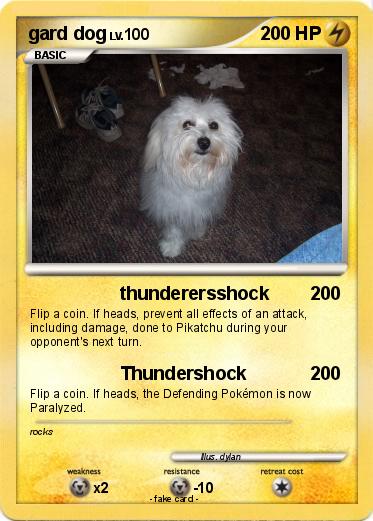 Pokemon gard dog