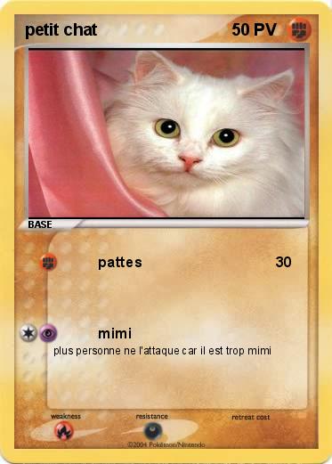 Pokemon petit chat