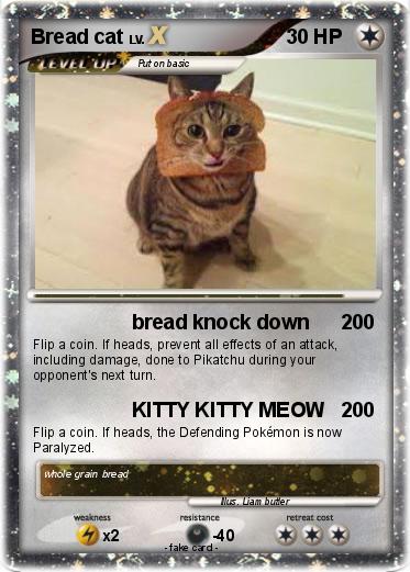 Pokemon Bread cat