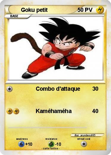Pokemon Goku petit