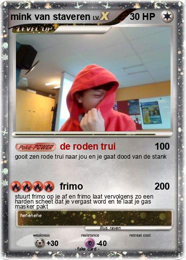 Pokemon mink van staveren
