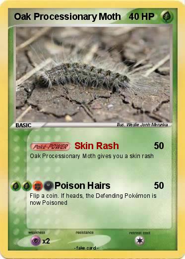 Pokemon Oak Processionary Moth