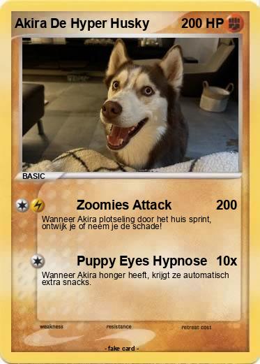 Pokemon Akira De Hyper Husky