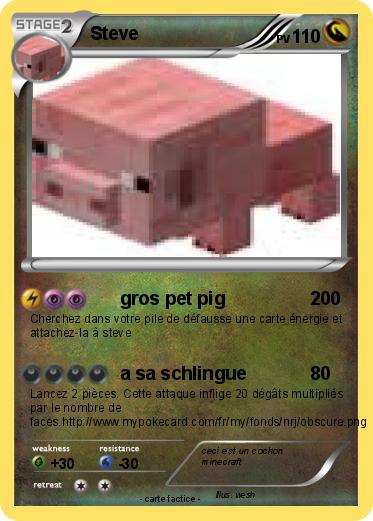 Pokemon Steve