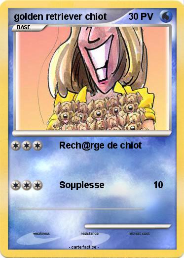 Pokemon golden retriever chiot