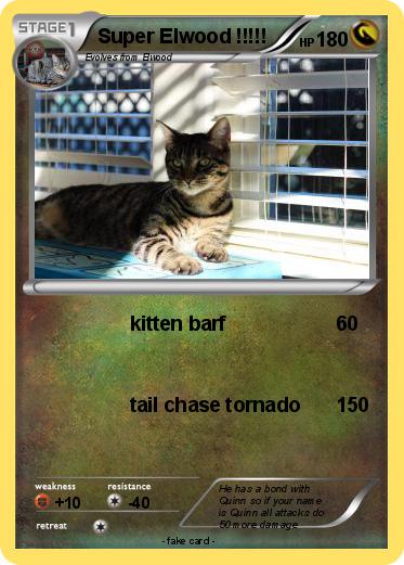 Pokemon Super Elwood !!!!!